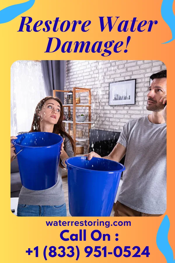water restoration Platinum Flood Recovery Services Buchanan